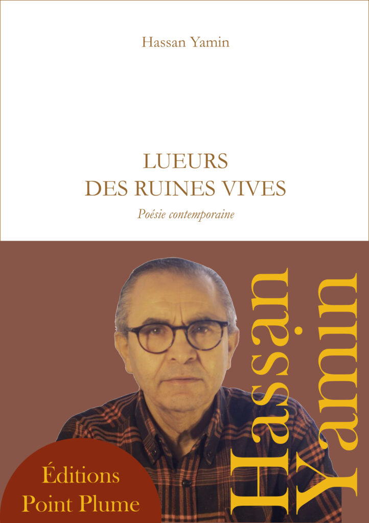 Couverture du livre Lueurs des Ruines Vives de Hassan Yamin